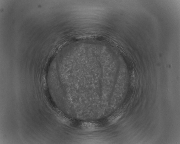 X0000073410699200608251525