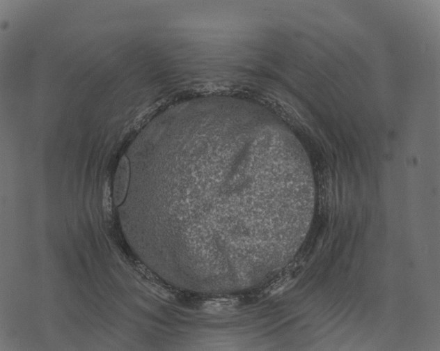 X0000073410700200608251525