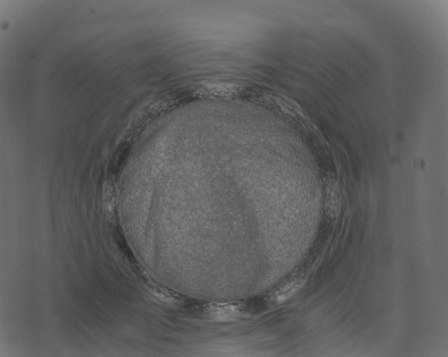 X0000073410701200608251525