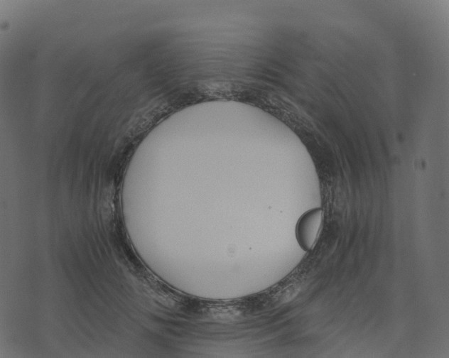 X0000073410702200608251525