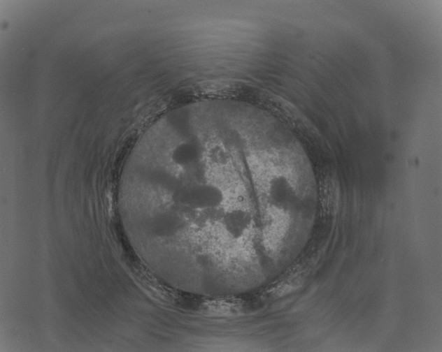 X0000073410703200608251525