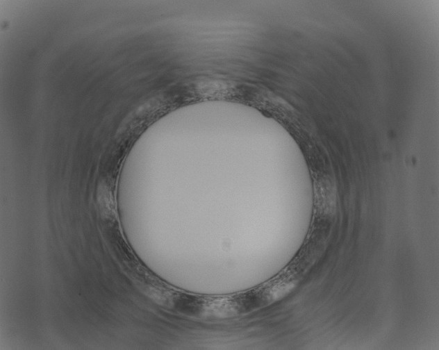 X0000073410705200608251525