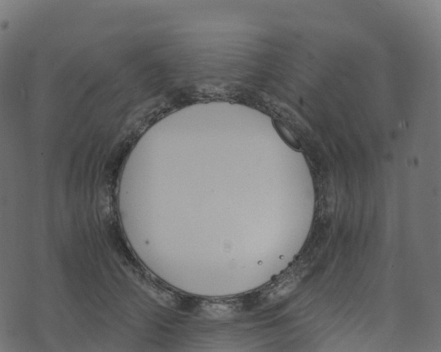 X0000073410706200608251525