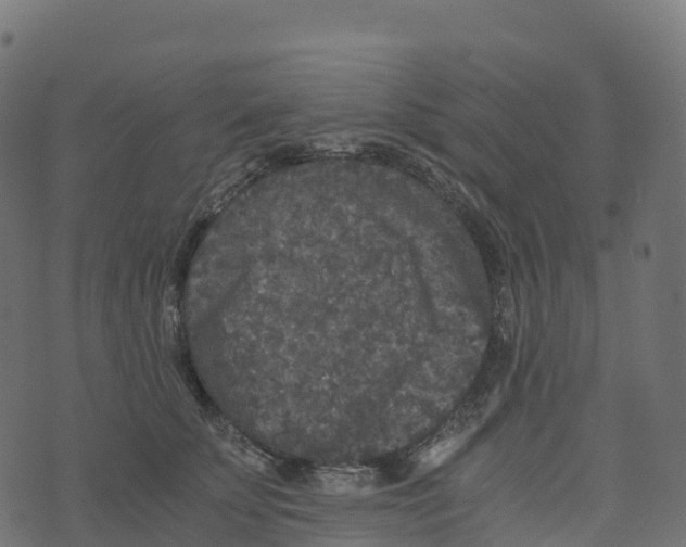 X0000073410707200608251525