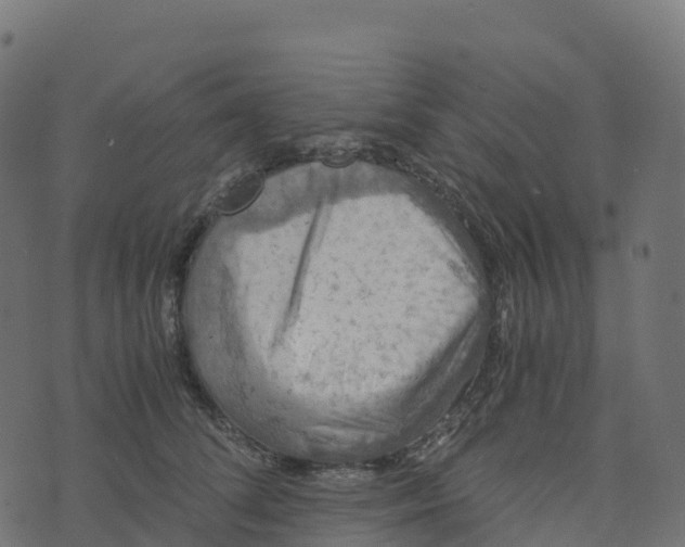 X0000073410708200608251525