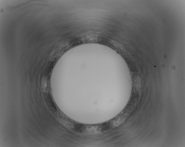 X0000073410709200608251525