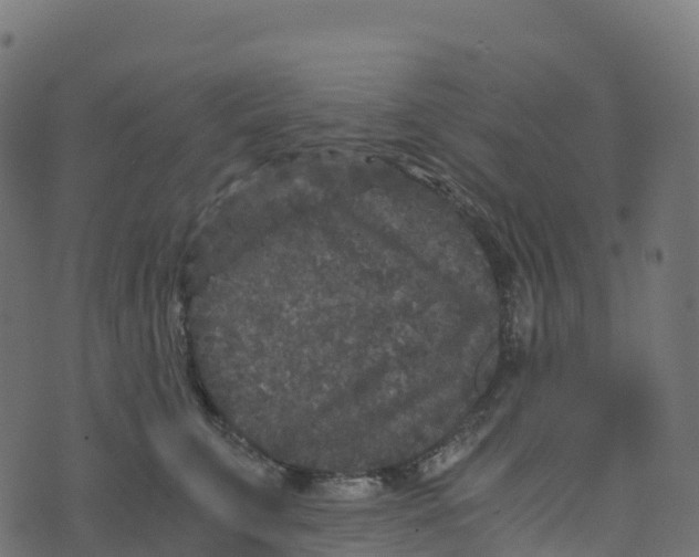 X0000073410711200608251525