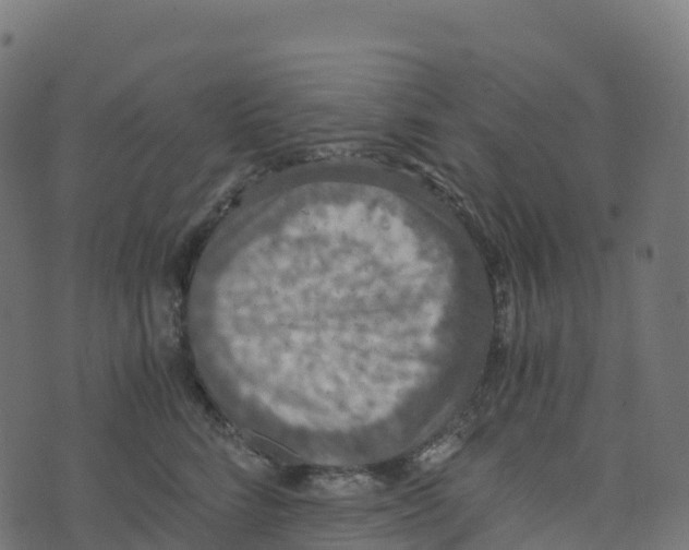 X0000073410712200608251525