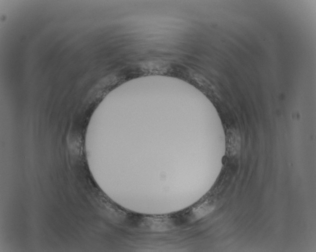 X0000073410713200608251525