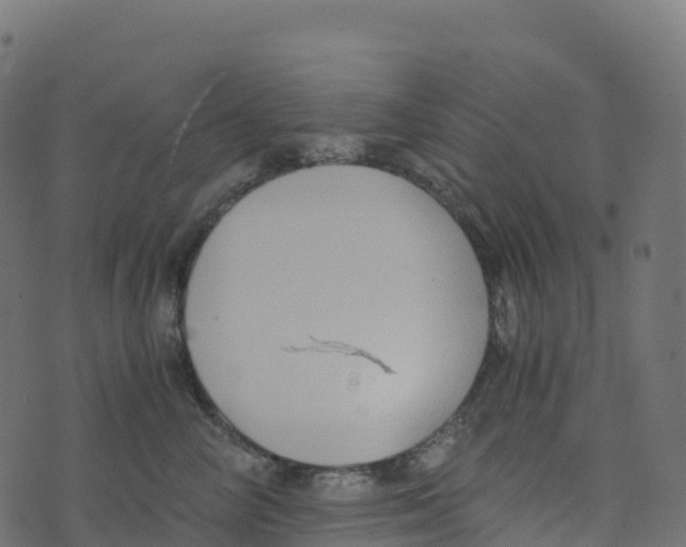 X0000073410714200608251525