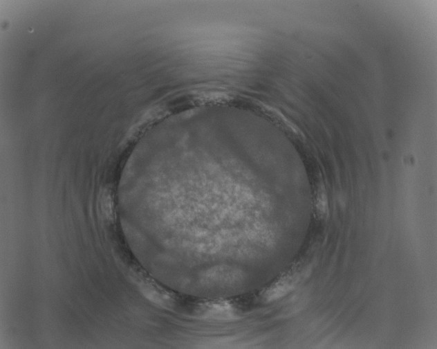 X0000073410715200608251525