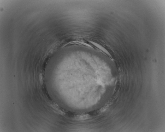 X0000073410716200608251525