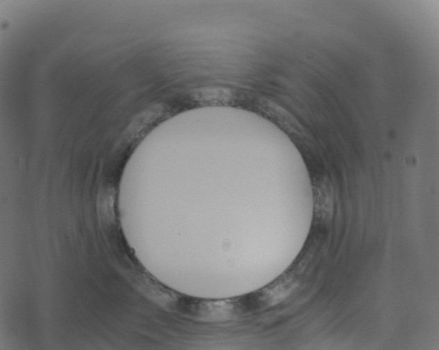 X0000073410717200608251525