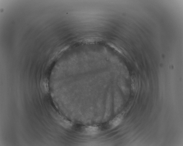 X0000073410718200608251525