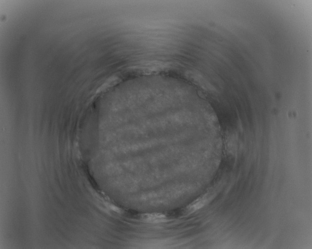 X0000073410719200608251525