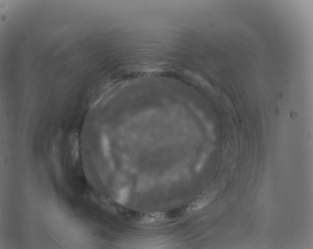 X0000073410720200608251525