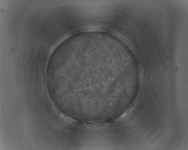 X0000073410721200608251524