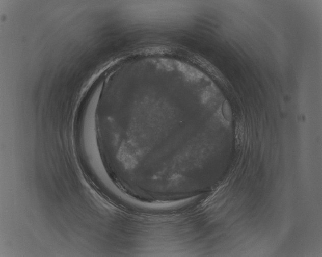 X0000073410722200608251524