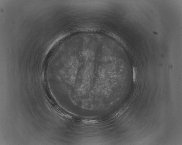 X0000073410723200608251524