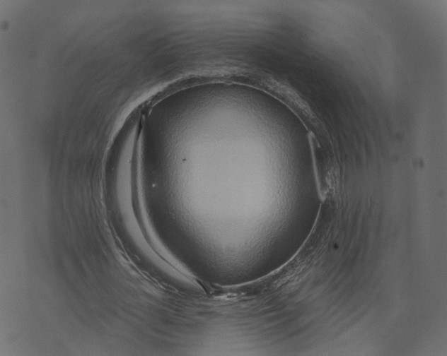 X0000073410724200608251524