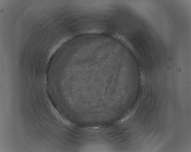 X0000073410725200608251524