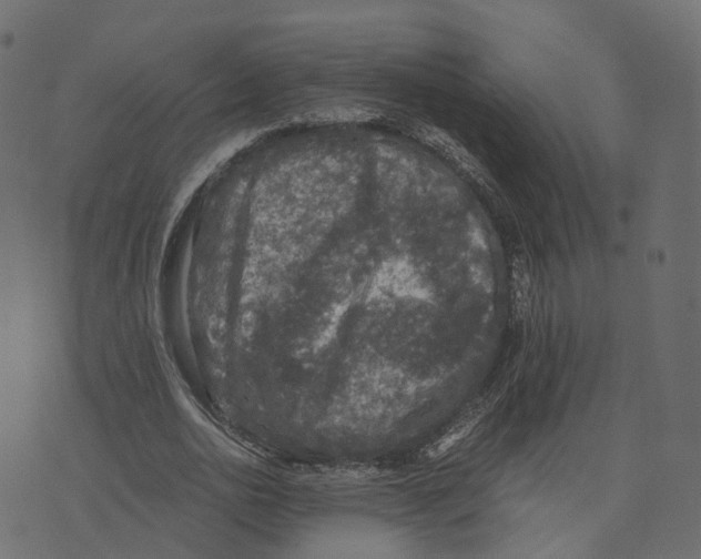 X0000073410726200608251524