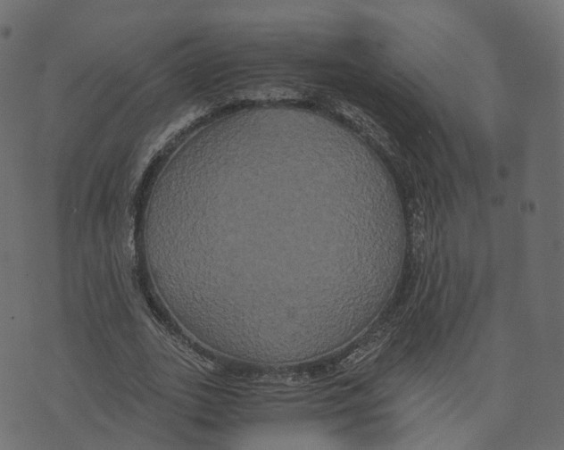 X0000073410727200608251524