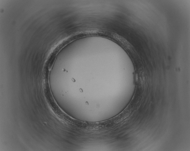 X0000073410728200608251524