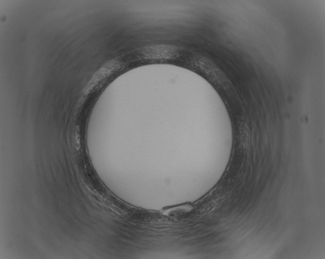 X0000073410731200608251524