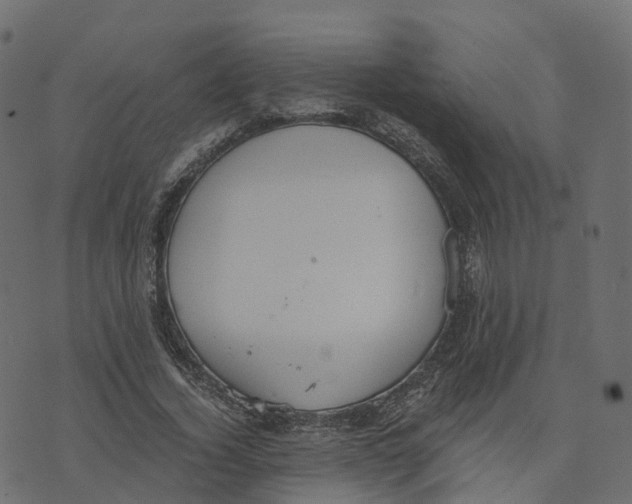 X0000073410732200608251524