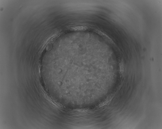 X0000073410733200608251524