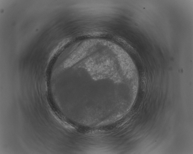 X0000073410734200608251524