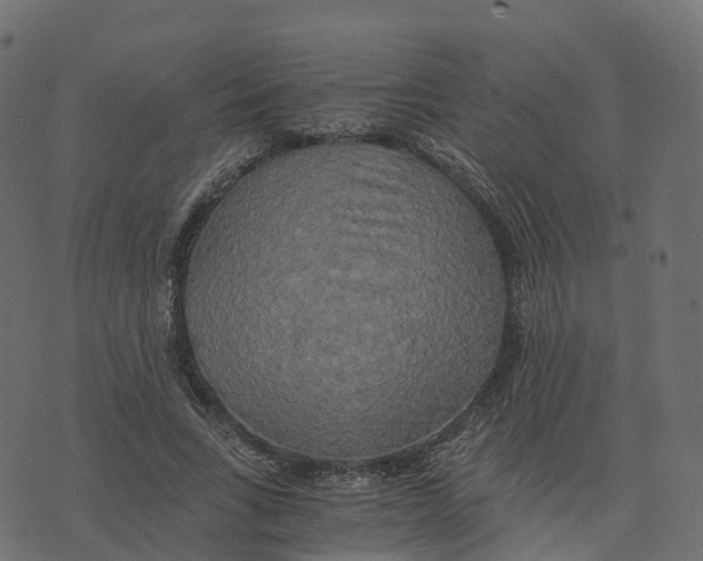 X0000073410735200608251524