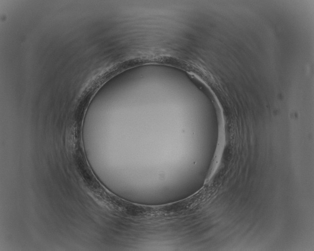 X0000073410736200608251524