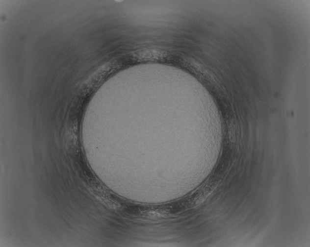 X0000073410737200608251524