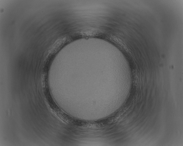 X0000073410738200608251524