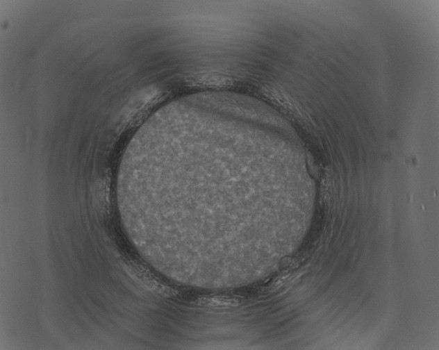 X0000073410739200608251524