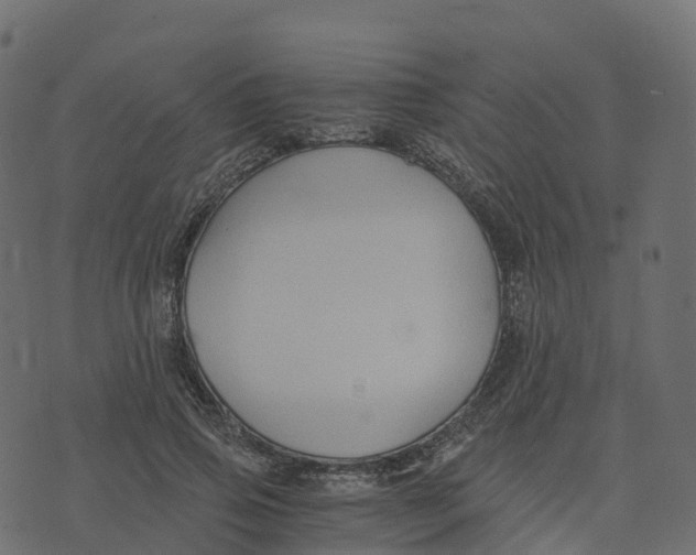 X0000073410741200608251524