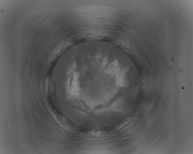 X0000073410742200608251524