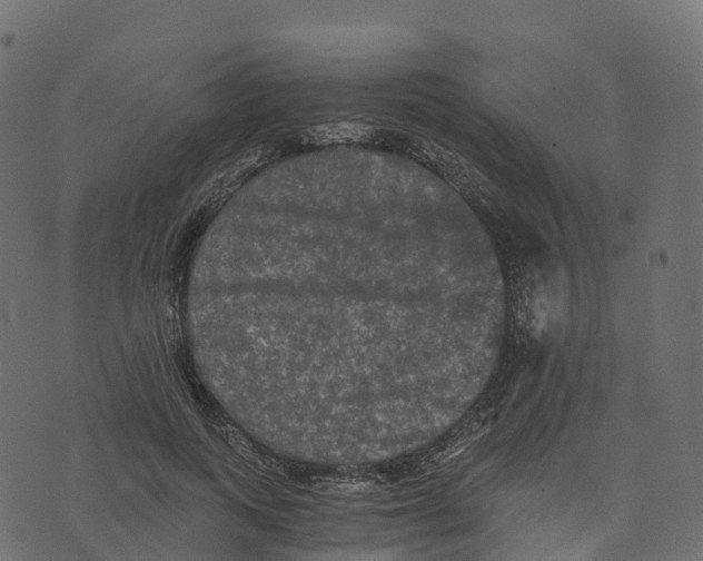 X0000073410743200608251524