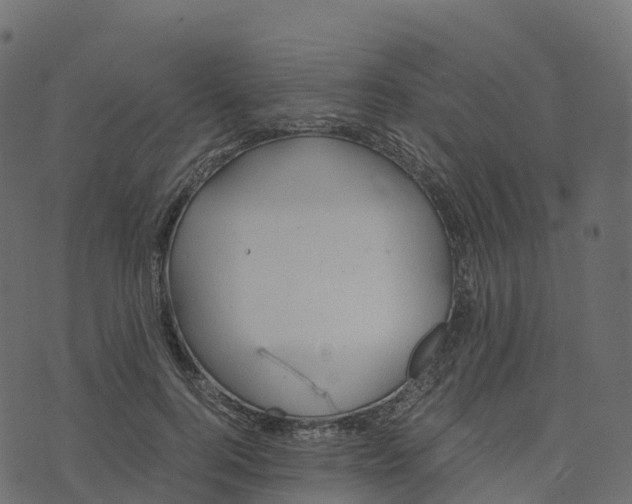 X0000073410744200608251524