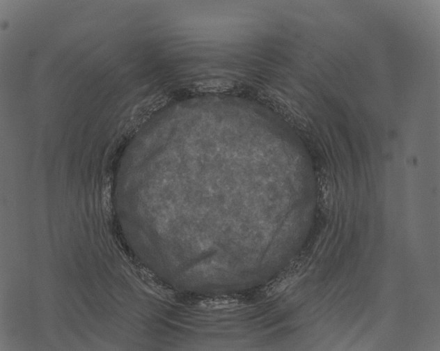 X0000073410745200608251524