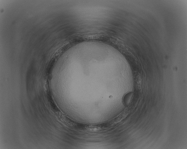 X0000073410746200608251524