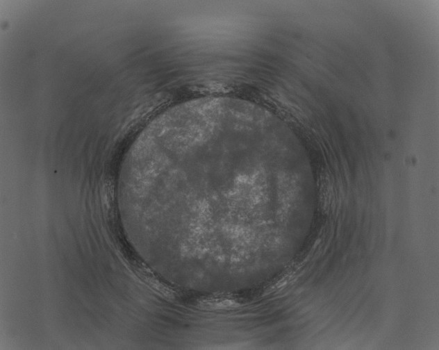 X0000073410747200608251524