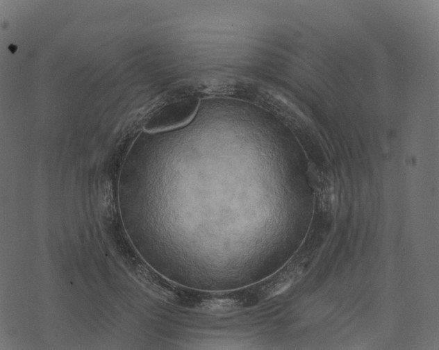 X0000073410748200608251524