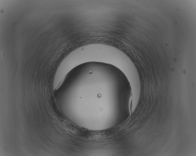 X0000073410750200608251524