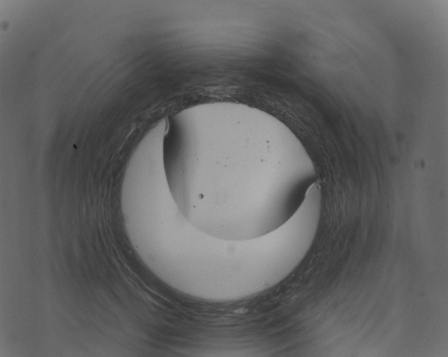 X0000073410752200608251524