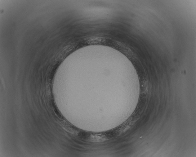 X0000073410753200608251524