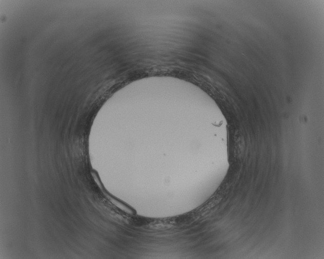 X0000073410756200608251524