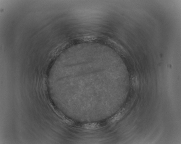 X0000073410757200608251524